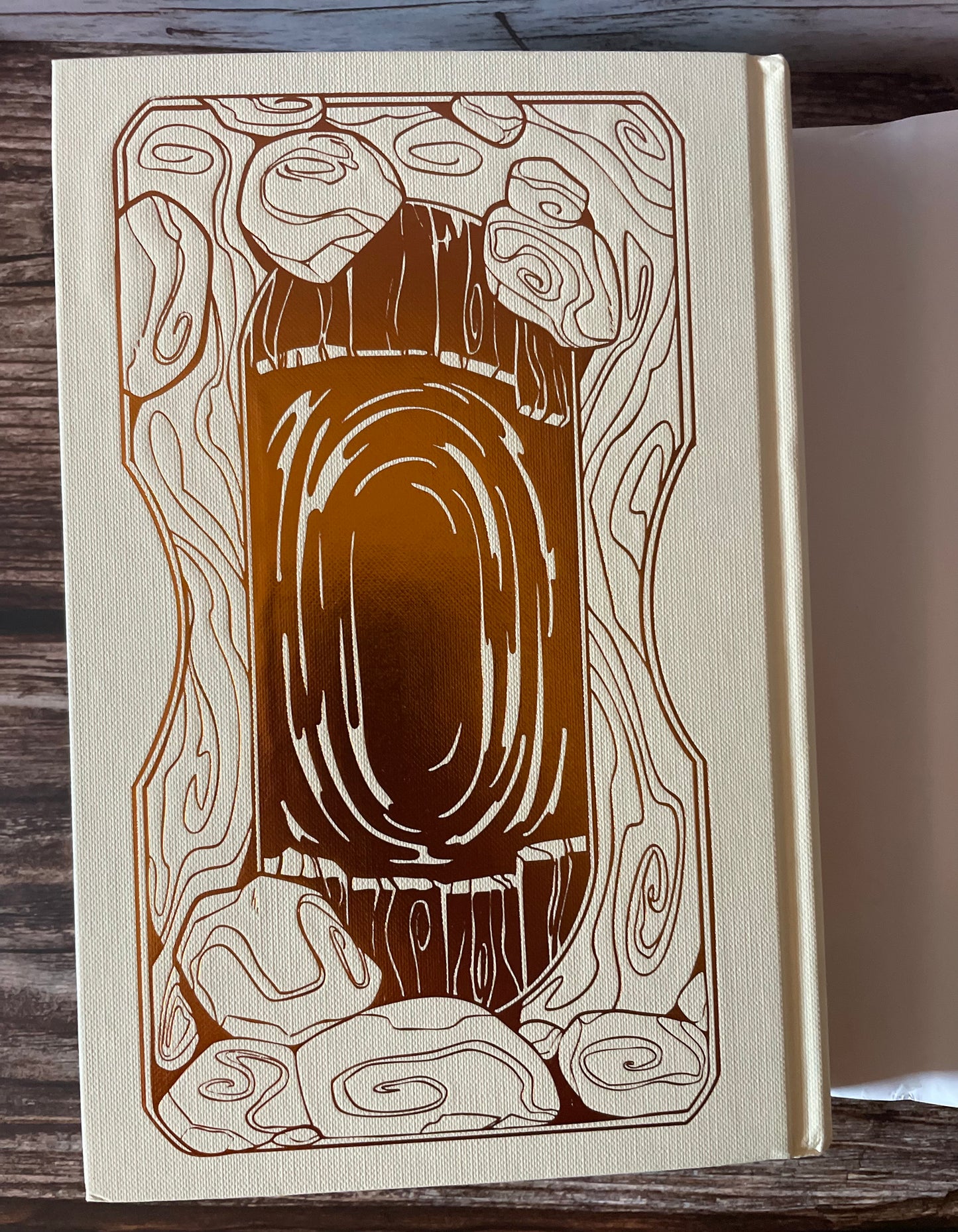 The Listeners by Maggie Stiefvater (Fairyloot Special Edition)