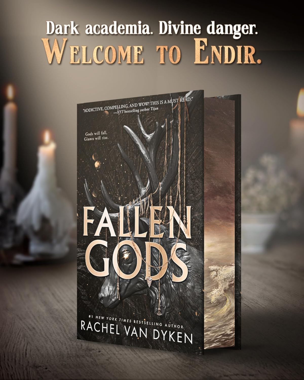 Fallen Gods by Rachel Van Dyken