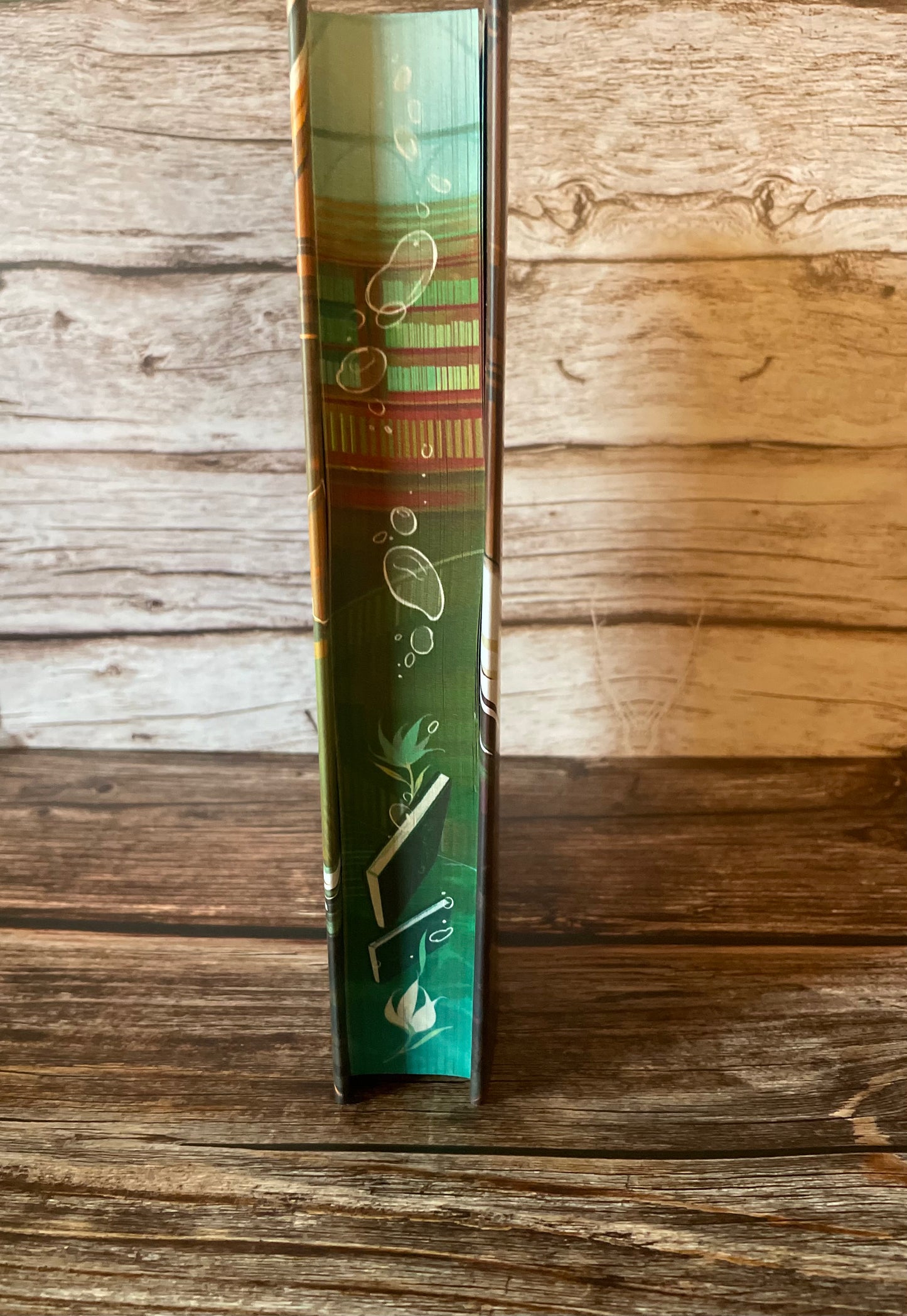 The Listeners by Maggie Stiefvater (Fairyloot Special Edition)