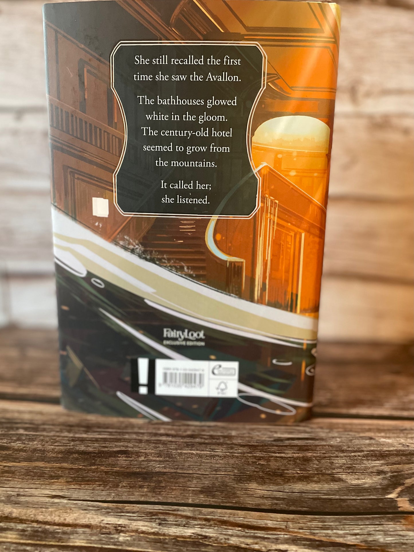 The Listeners by Maggie Stiefvater (Fairyloot Special Edition)
